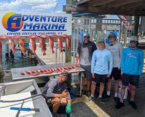 Destin Offshore Fishing Charter Photo