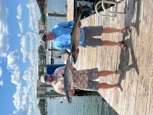IMG_8517.jpeg