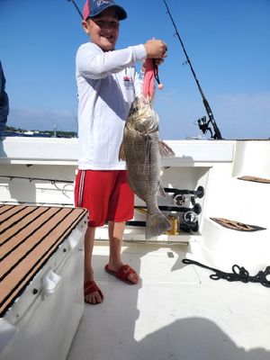 Destin Offshore Fishing Charter Photo