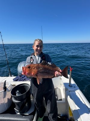 Destin Offshore Fishing Charter Photo