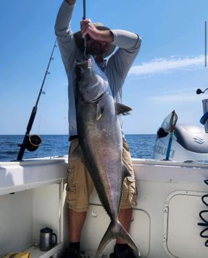 Destin Offshore Fishing Charter Photo