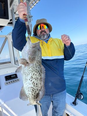 Destin Offshore Fishing Charter Photo