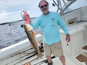 Destin Offshore Fishing Charter Photo