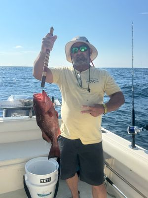 Destin Offshore Fishing Charter Photo