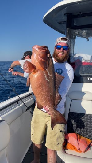 Destin Offshore Fishing Charter Photo