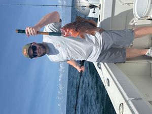 IMG_2747.jpeg