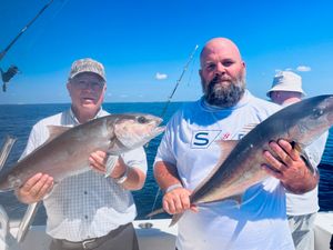 Destin Fishing Charter Catch  Photo