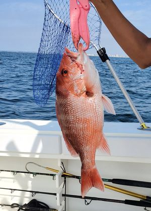 Destin-red-snapper-offshore-fishing-charter.jpg9