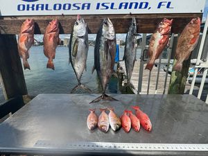 Destin Offshore Fishing Charter Photo