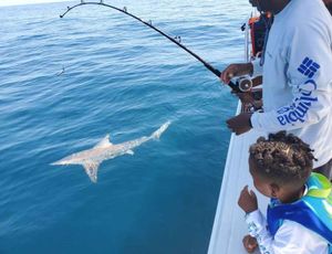 Destin-shark-offshore-fishing-charter.jpg
