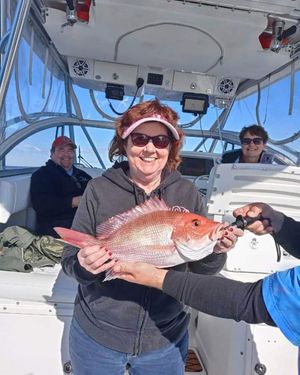 Destin Offshore Fishing Charter Photo