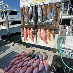 Destin Fishing Charter Dock Catch Dock Photo