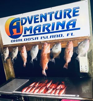 6-hour offshore fishing trip in Destin FL
