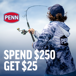 Penn Offer.png