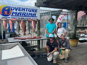 Destin Offshore Fishing Charter Photo
