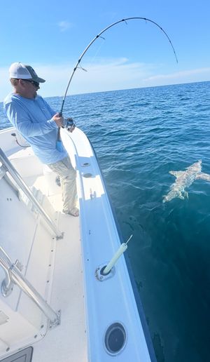 Destin Shark Fishing Charter Photo