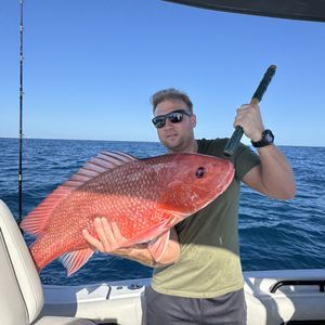 6-hour Destin FL offshore fishing Red Snapper catch