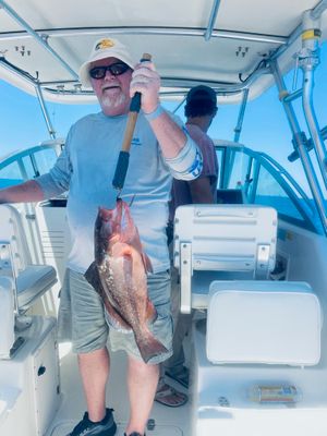 Destin Offshore Fishing Charter Photo