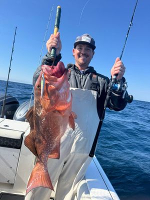 Destin Offshore Fishing Charter Photo