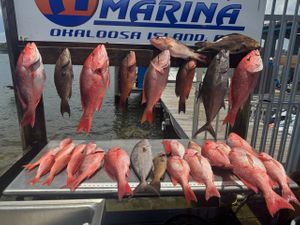Destin Fishing Charter Dock Catch Dock Photo