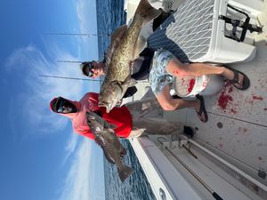 IMG_2712.jpeg