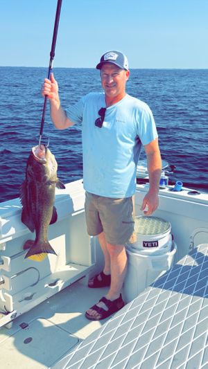 Destin Offshore Fishing Charter Photo