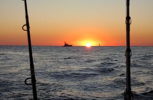 Destin Harbor Sunset Cruise with Salty Endeavors