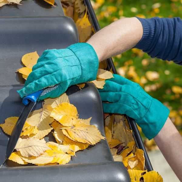 Painting and Gutter Replacement - Image 2.jpg