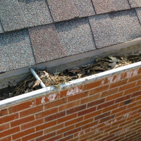 clogged gutters 