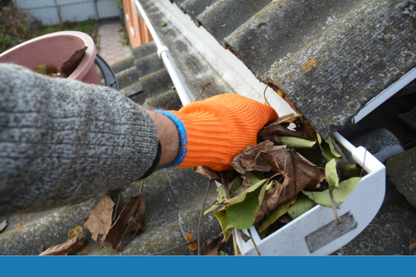 Gutter cleaning