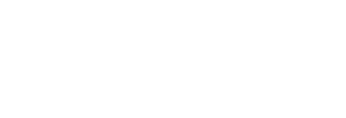 Walter Motorsports USA LLC
