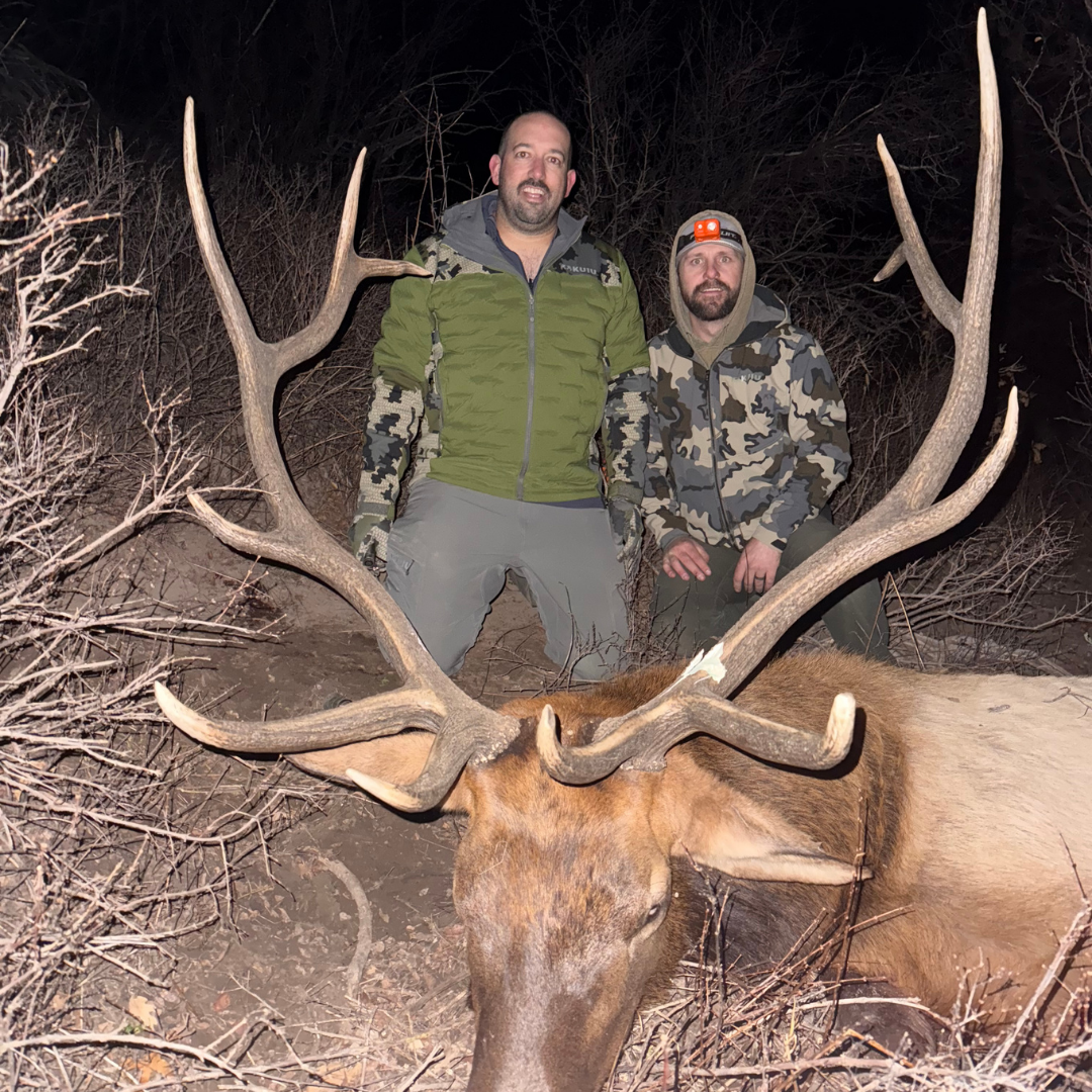 Untitled design (13).png