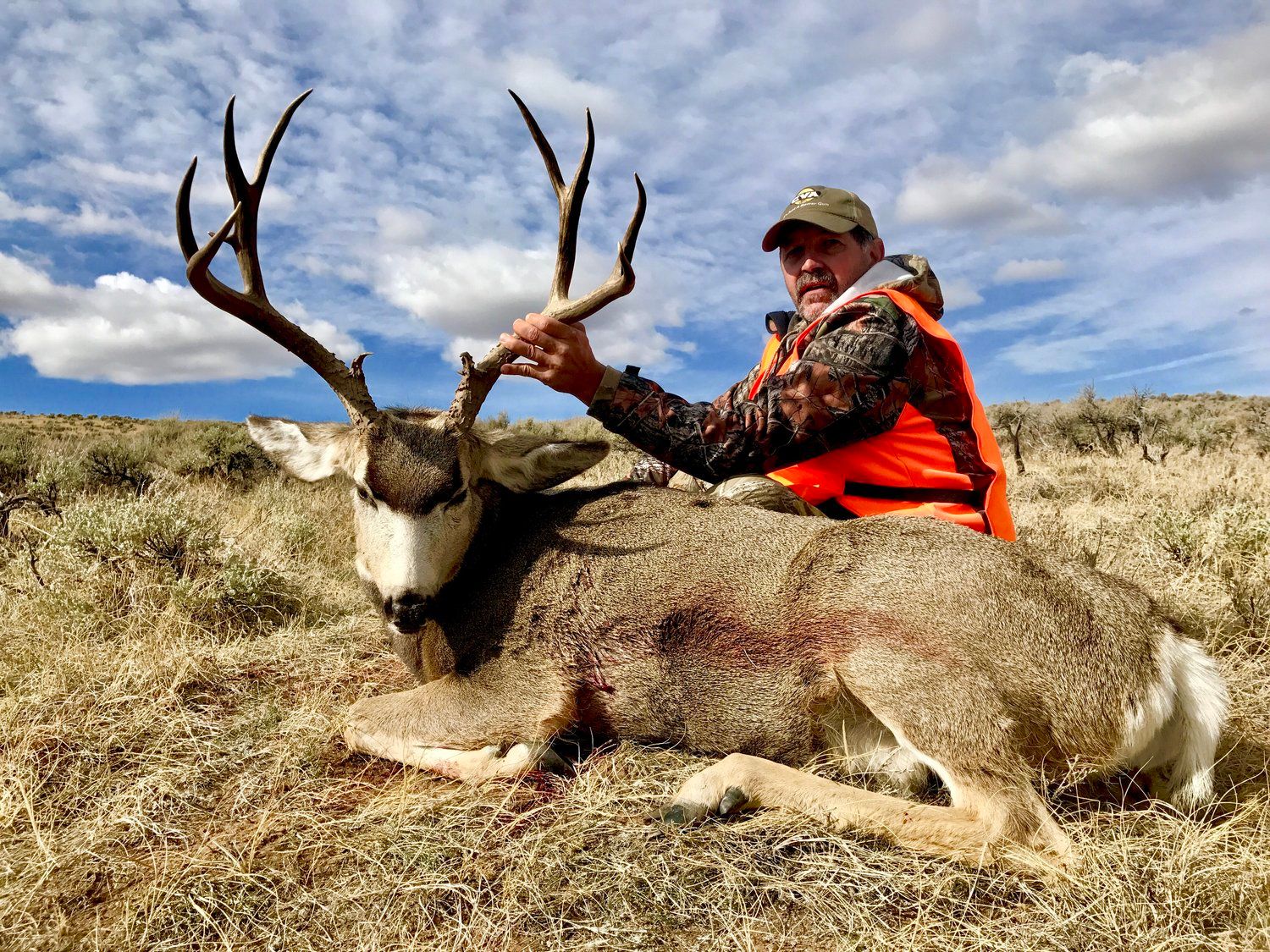 Mule_Deer_23.jpg