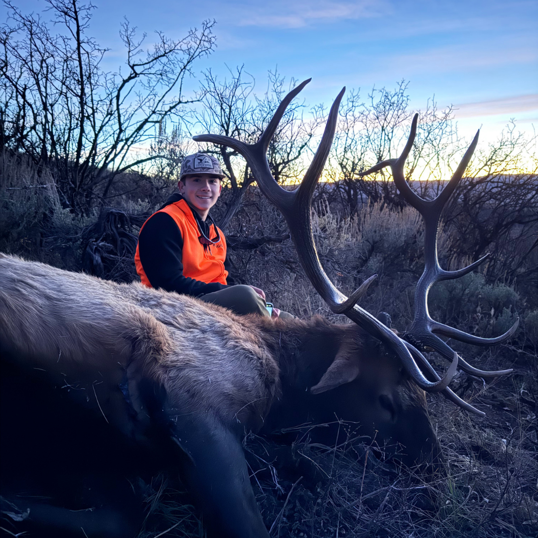 Untitled design (14).png