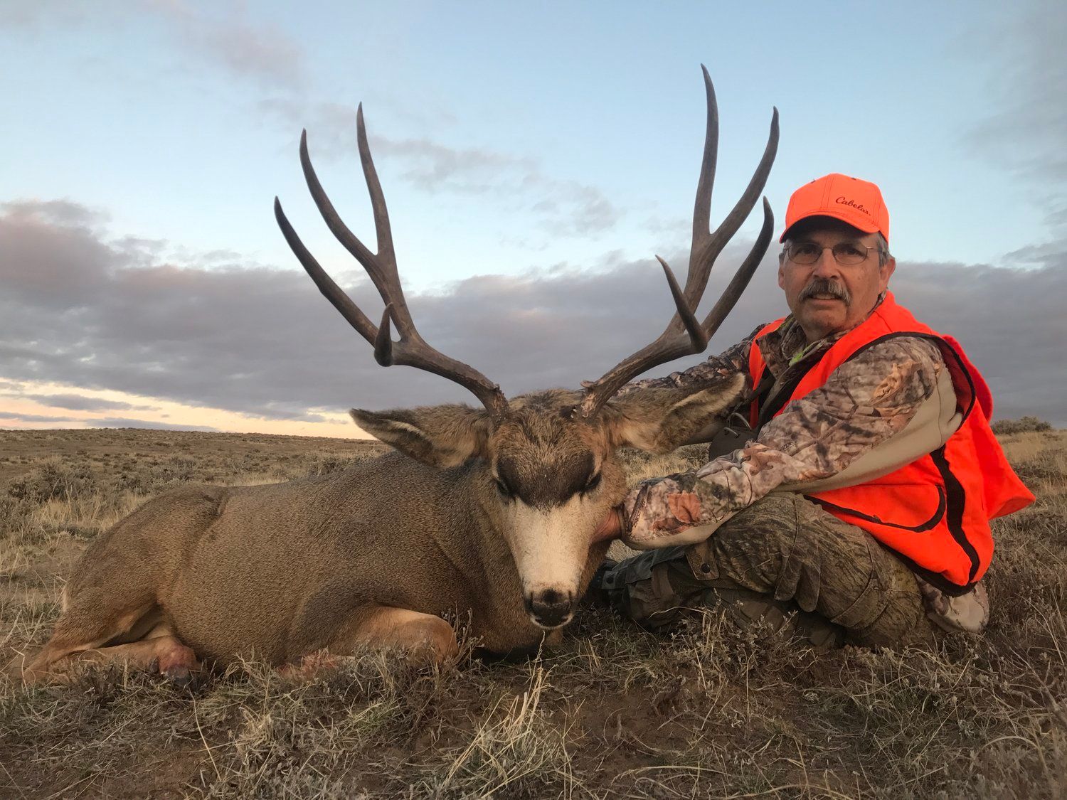 Mule_Deer_25.jpg