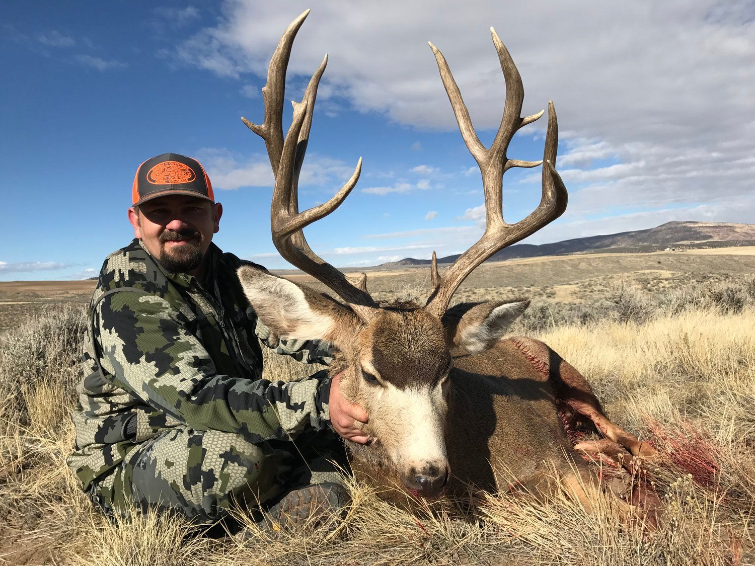 Mule_Deer_10.jpg