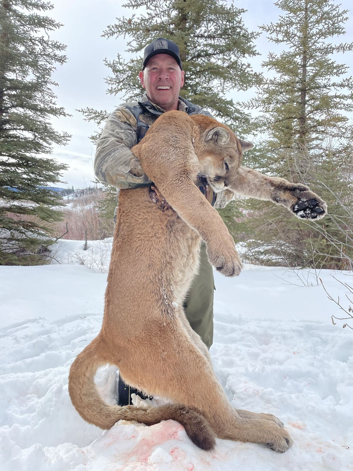 Paul+lion.jpg