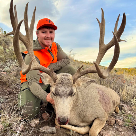 Untitled design (10).png