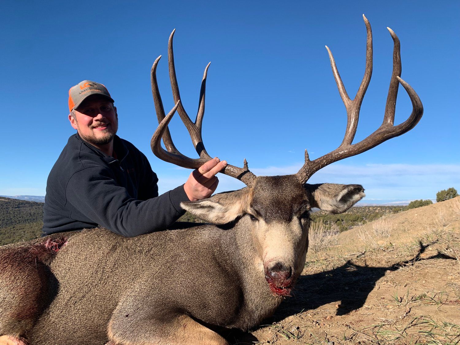 Mule_Deer_27.jpg