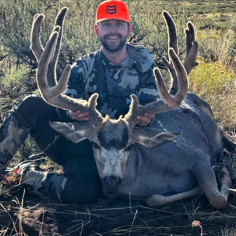 Untitled design (11).png