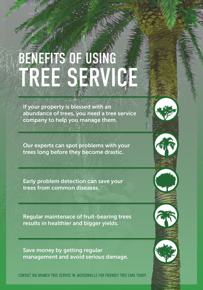 Tree Service Newnan Ga