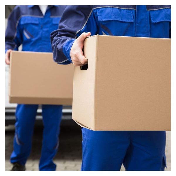 movers holding boxes