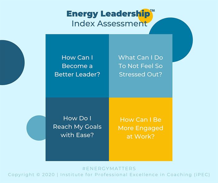 energy leadership assessment