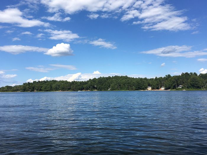 View of calm lake water with a shore in the distance. 