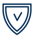 Icon-Security-600ef093b3cc5.png