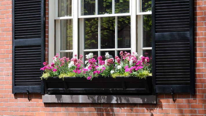 Choosing the Right Exterior Shutters hero.jpg