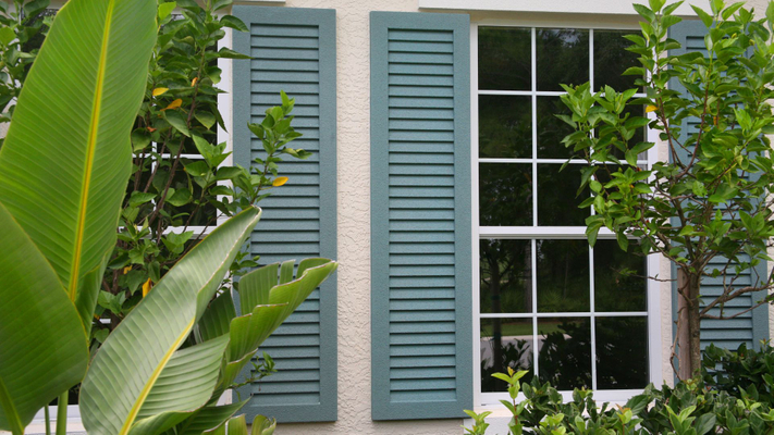 Exterior shutters with plants around them