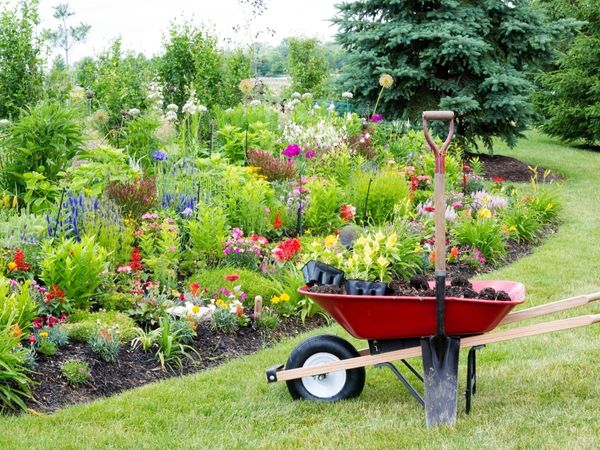 Professional landscaping tools and a red wheelbarrow filled with new plants positioned in front of a vibrant, multi-colored residential flower bed.