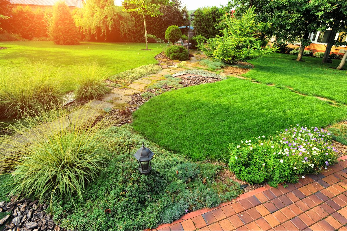 landscaping.jpg