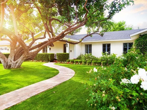A stunning, professionally landscaped Long Island front yard featuring a winding stone paver path, a mature shade tree, and a perfectly manicured lawn.